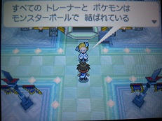 ありゃまあ