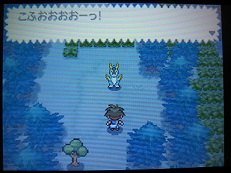 こふおおおおーっ！