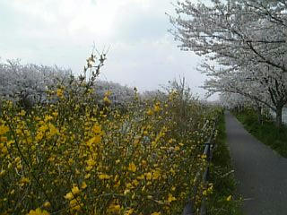 09-04-08_13-54.jpg