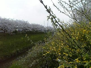 09-04-08_13-591.jpg