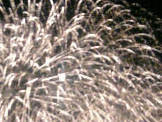 09-08-03_19-572.jpg