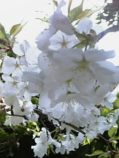 10-04-06_12-051.jpg