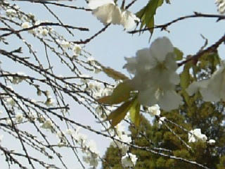10-04-06_12-082.jpg
