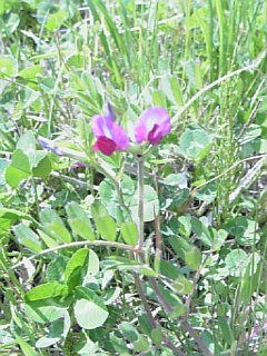 10-04-06_12-301.jpg