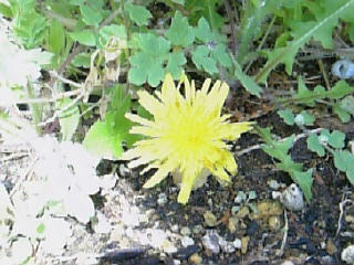 10-04-06_12-35.jpg
