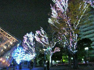 09-11-28_17-29.jpg