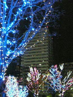09-11-28_17-251.jpg