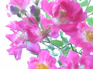 10-04-19_12-282.jpg