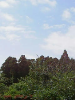 10-05-16_09-46.jpg