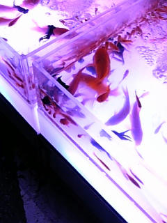 10-07-23_21-45.jpg