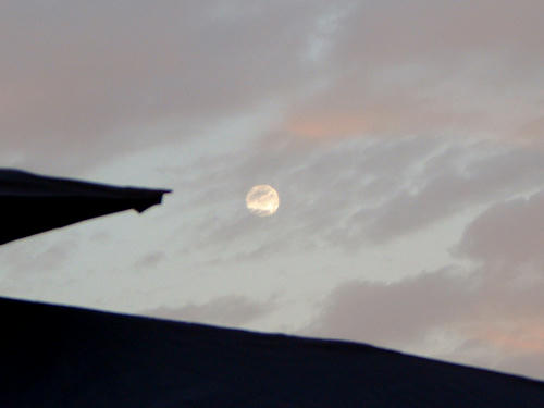 DSCF2095.JPG
