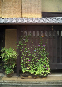 CIMG9262a.JPG