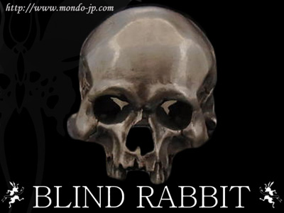 ブラインドラビット,BLIND RABBIT,エヴォリューション ワン エイジング,Evolution Ⅰ Aging,スカル,リアル,通販,デザイナーズ,シルバーアクセサリー,ジュエリー,ブランド,ハンドメード,カスタム,オーダーメード,プレゼント,公式販売店,正規取扱店,正規代理店,オフィシャルディーラー,Mondo,モンド,ONLINE SHOP,大阪,通販 
