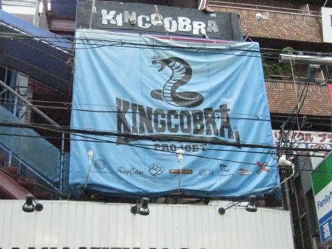 KING COBRA