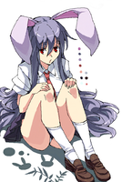 20100506b.png