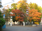IMG_6739.JPG