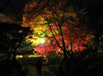 IMG_6795.JPG