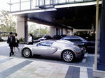 P1000244.jpg