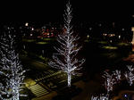P1000159.jpg