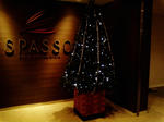 P1000269.jpg