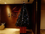 P1000270.jpg