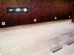 P1000271.jpg