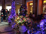 DSCF4229.jpg