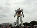 DSCF6529.jpg
