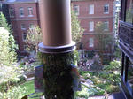 IMG_0848.jpg