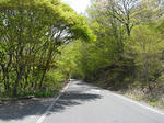 R00110160003.jpg