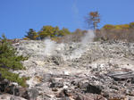 a9633b90.jpg