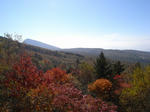 96b9e555.jpg