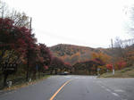 52a36319.jpg