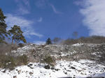 R00107590001.jpg