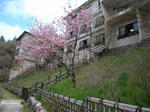 R00109540024.jpg