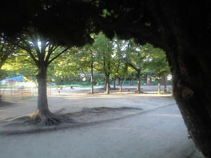 CA3A0004.JPG