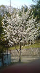 DSC00085.JPG