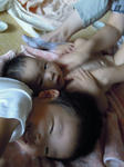 4e800082.jpg