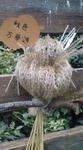 DSC00157.JPG