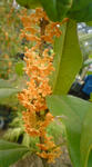 DSC00159.JPG