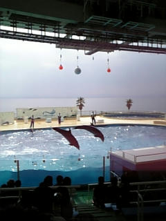 080328_105443.jpg