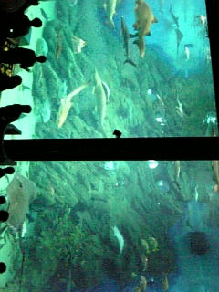 080328_112736.jpg