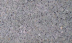 CA390016.JPG