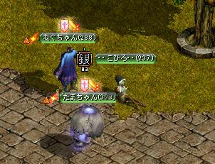 こひろとたまとねぐ