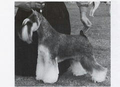 img121.jpg