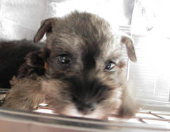 200909051.jpg