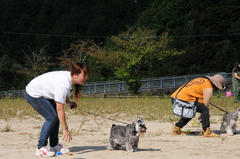 20101028.jpg