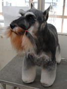 201103173.jpg