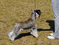 201103174.jpg