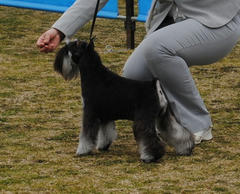201103176.jpg